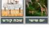 בריאת העולם בתמונות (3)