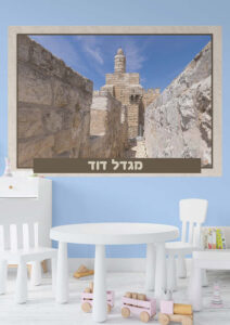 מגדל דוד11