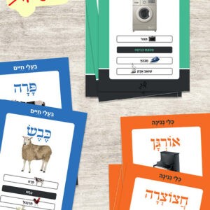 רביעיות קטגוריות