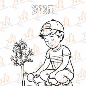דף צביעה טו בשבט הגיע - ילד שותל