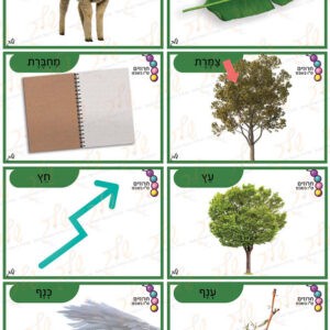 כרטיסי חרוזים טו בשבט2