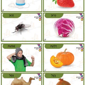 כרטיסי חרוזים ירקות1