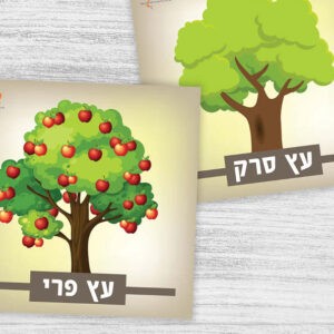 מיון עצי פרי ועצי סרק