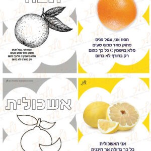 דקלומים פירות הדר