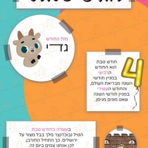 לוח חודש טבת דגם ראי
