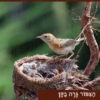 בעלי החיים וביתם