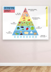 פירמידת המזון הדמיה