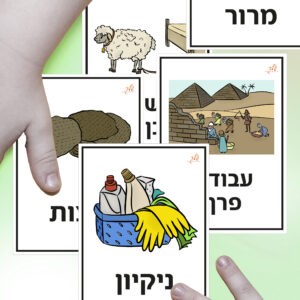 הדמיה לכרטיסיות אורינות פסח