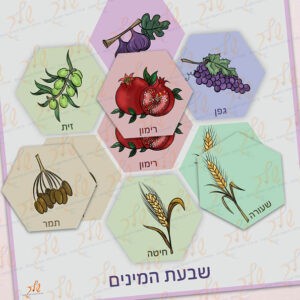 לוטו שבעת המינים