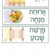 סדר יום בגן דגם תמי5