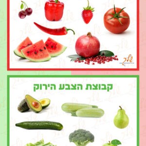 כרטיסי פירות בצבעים (1)