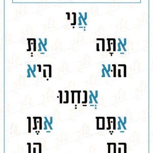 פלקט איך כותבים כינויי גוף