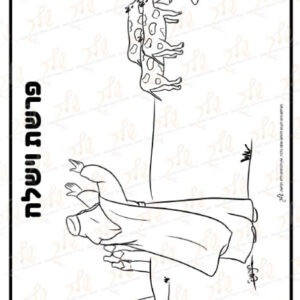 דף צביעה לפרשת וישלח