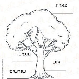 דף עבודה חלקי העץ