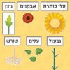 הפרח וחלקיו2