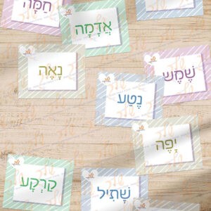 משחק הזיכרון מילים נרדפות