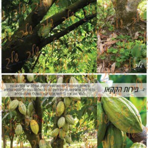 קיר תוכן המסע אל השוקולד (1)