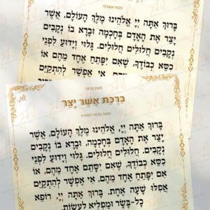 אשר יצר דגם זהבה_הדמיה2