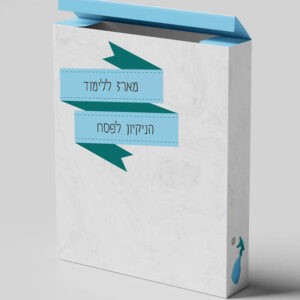 הדמיה למארז הניקיון לפסח
